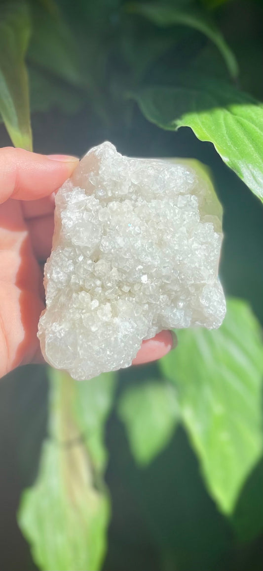 Apophyllite Geode Crystal