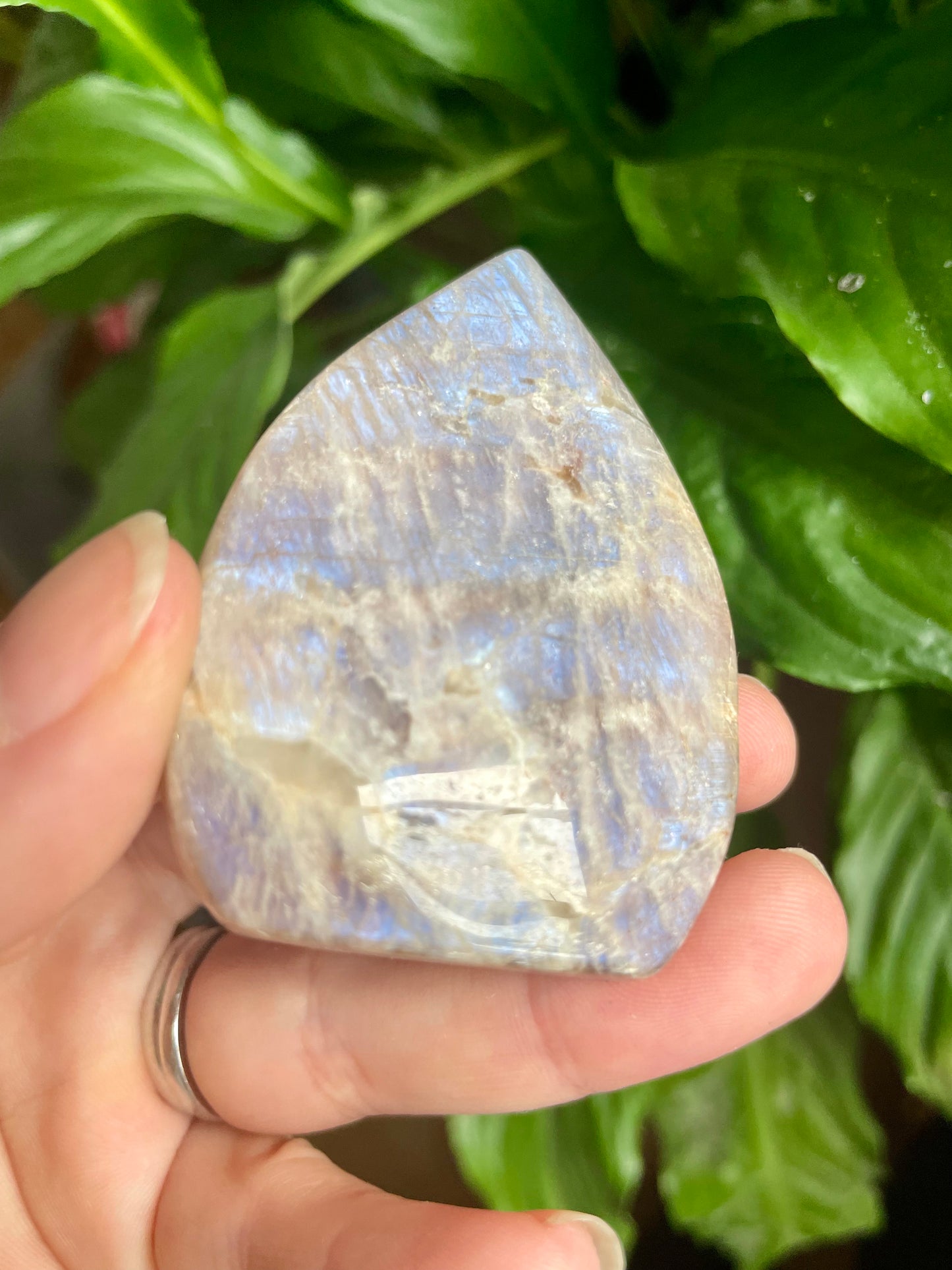 Black Rainbow Moonstone Flames