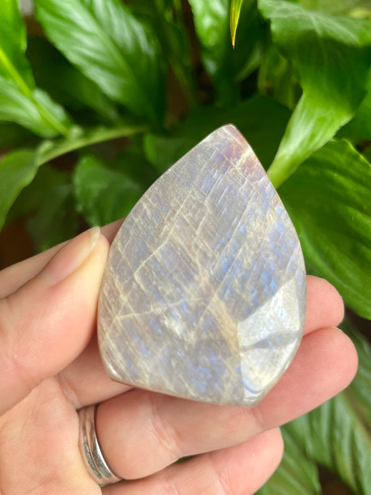 Black Rainbow Moonstone Flames