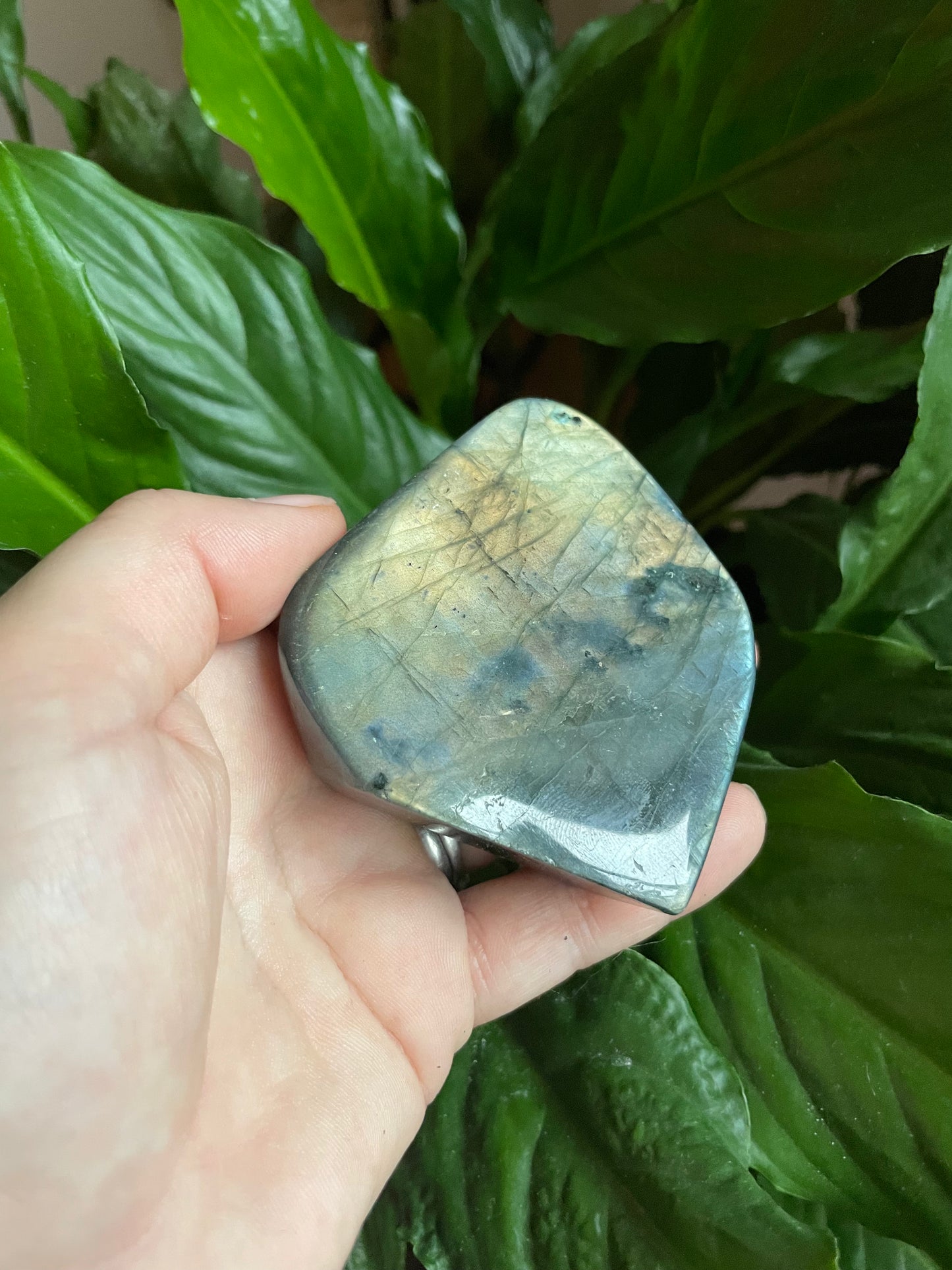 Labradorite Freeform