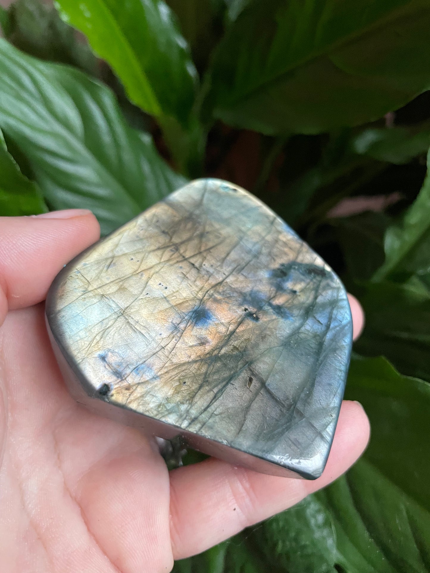 Labradorite Freeform