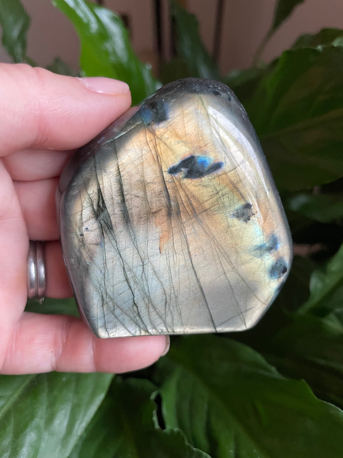 Labradorite Freeform