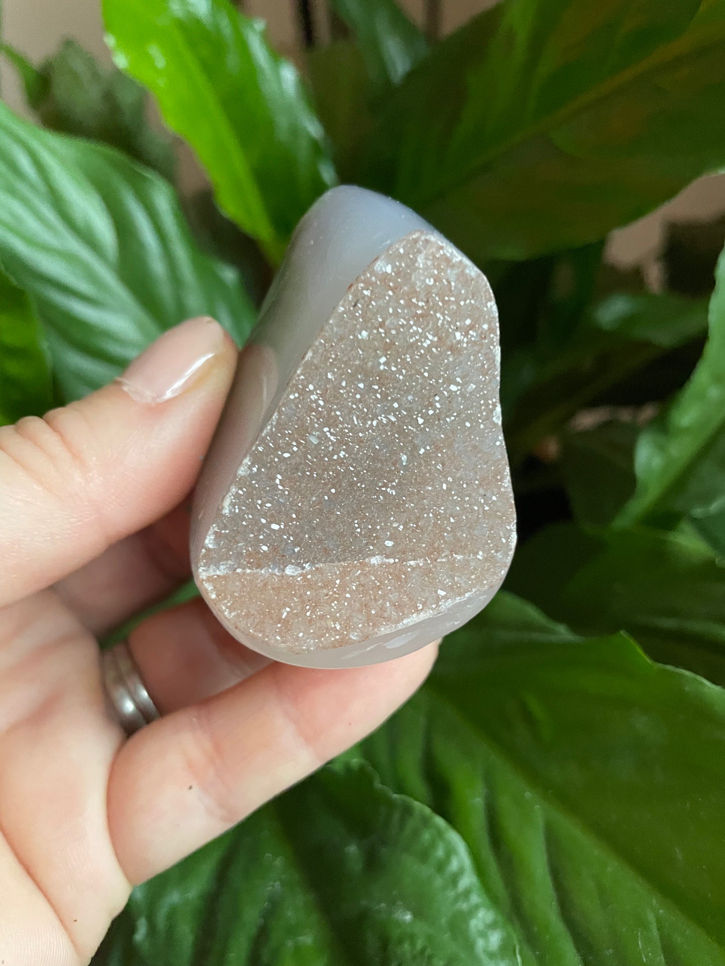 Sugar Amethyst Freeform