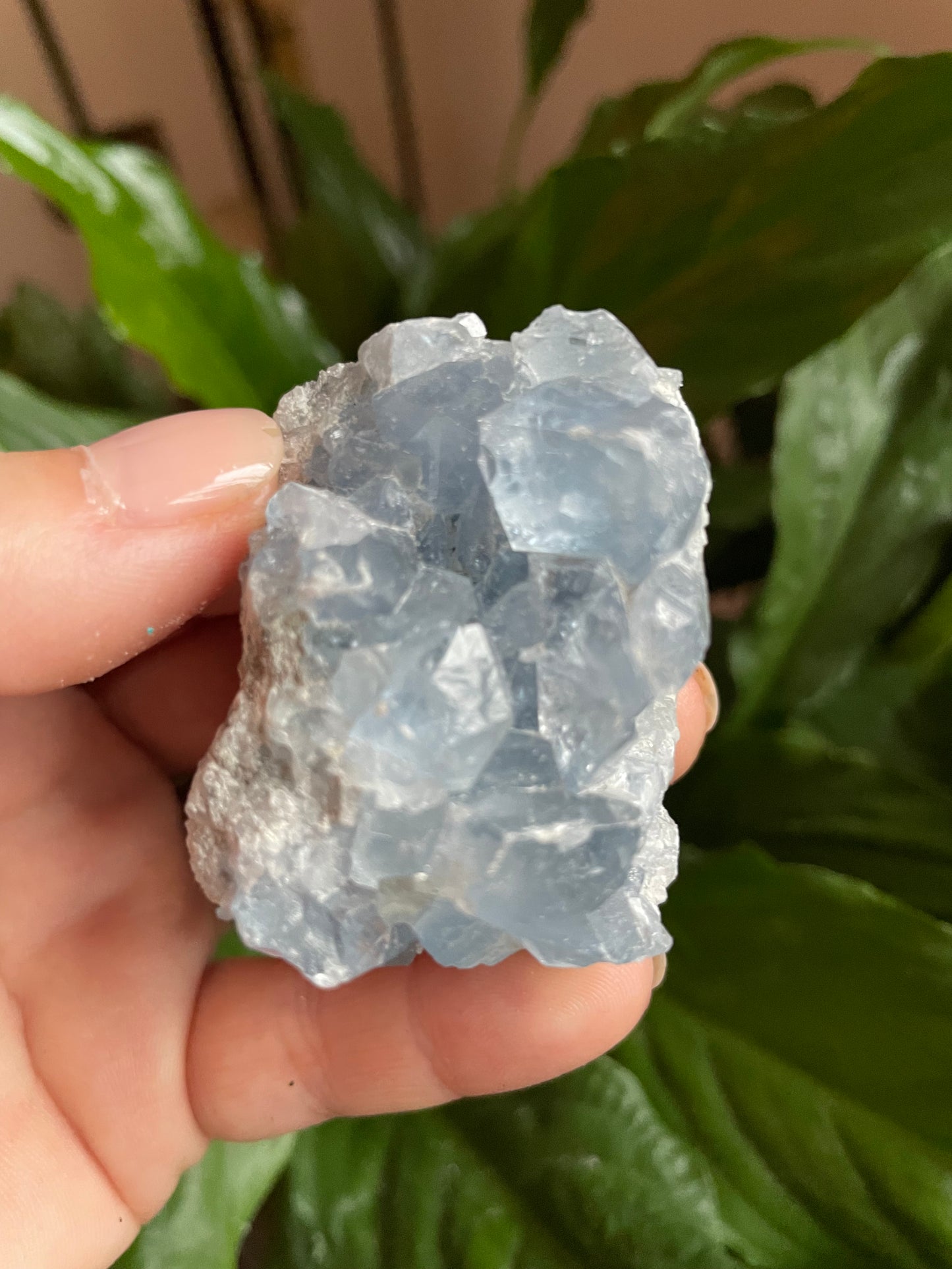 Celestite Cluster