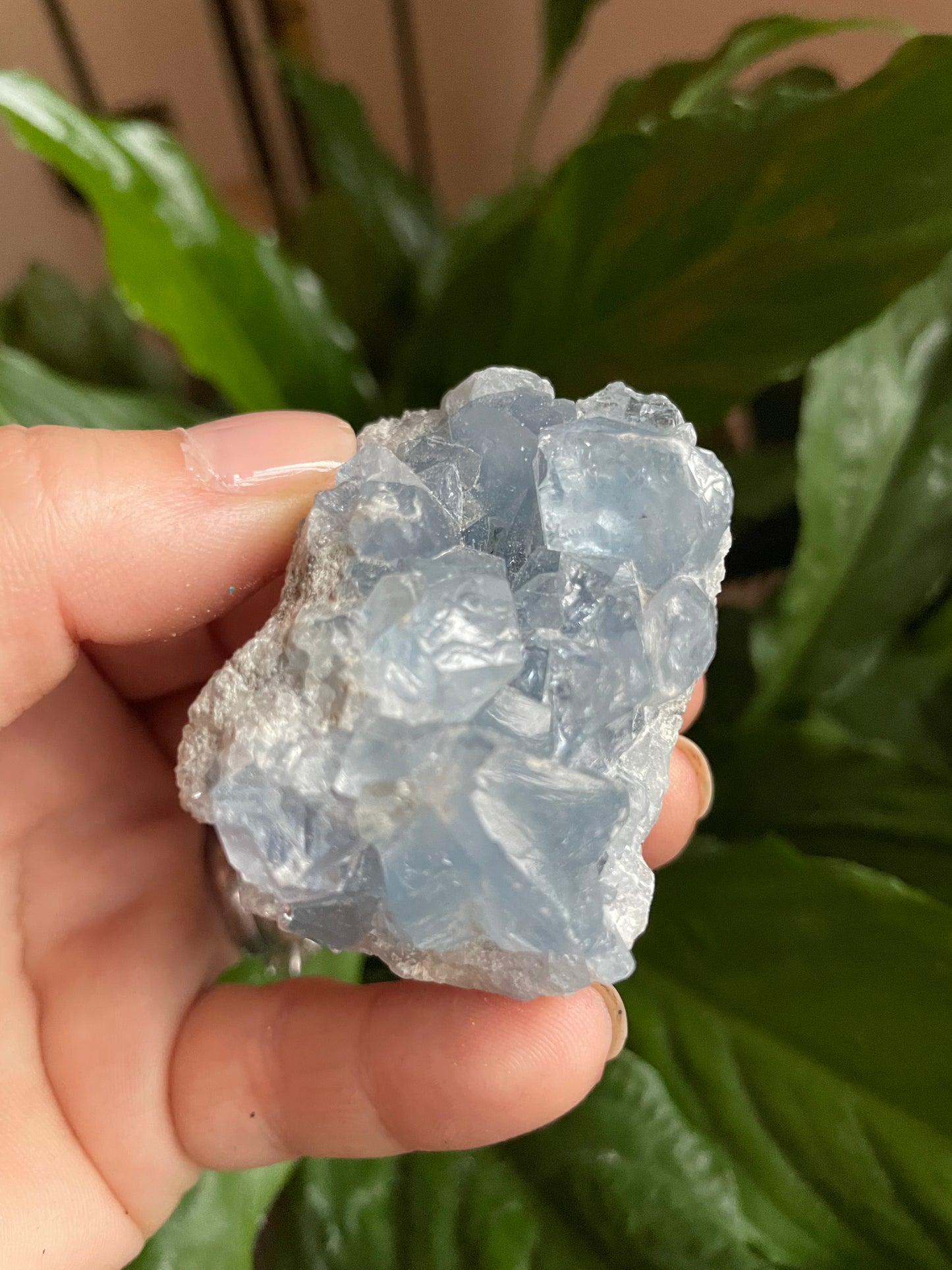 Celestite Cluster