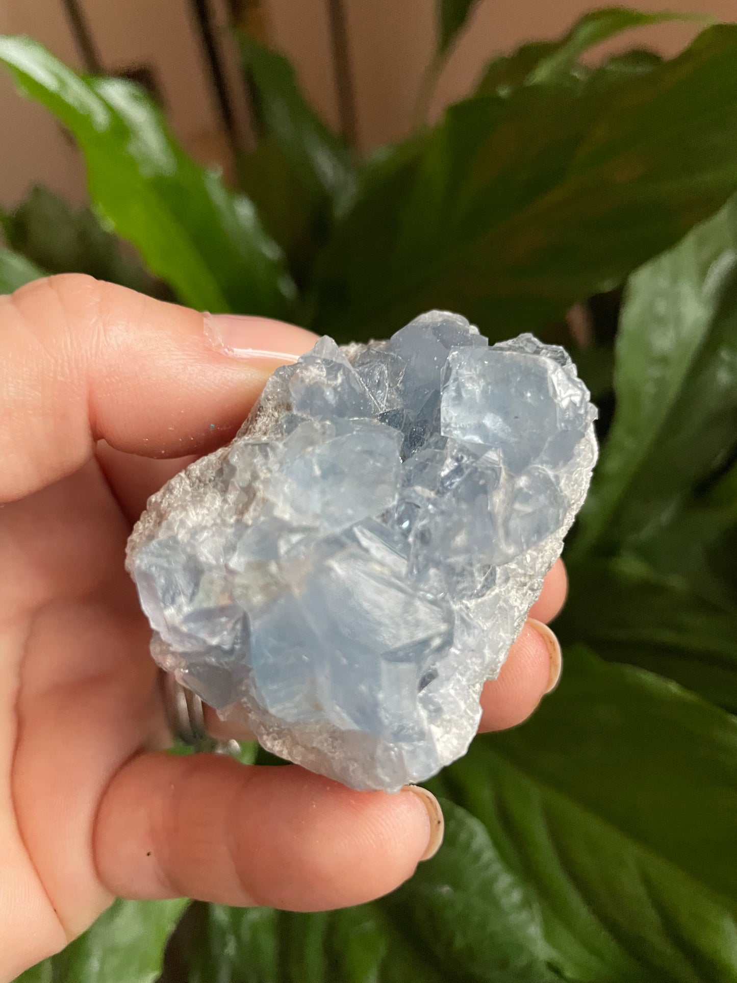 Celestite Cluster