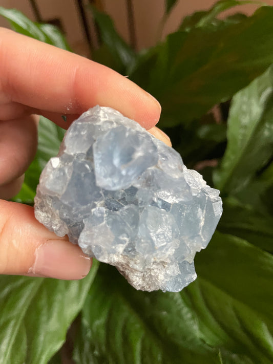 Celestite Cluster