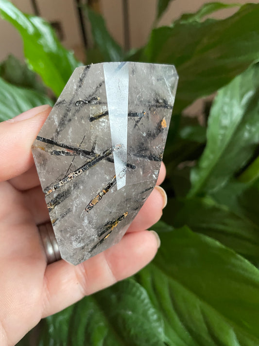 Rutilated Quartz