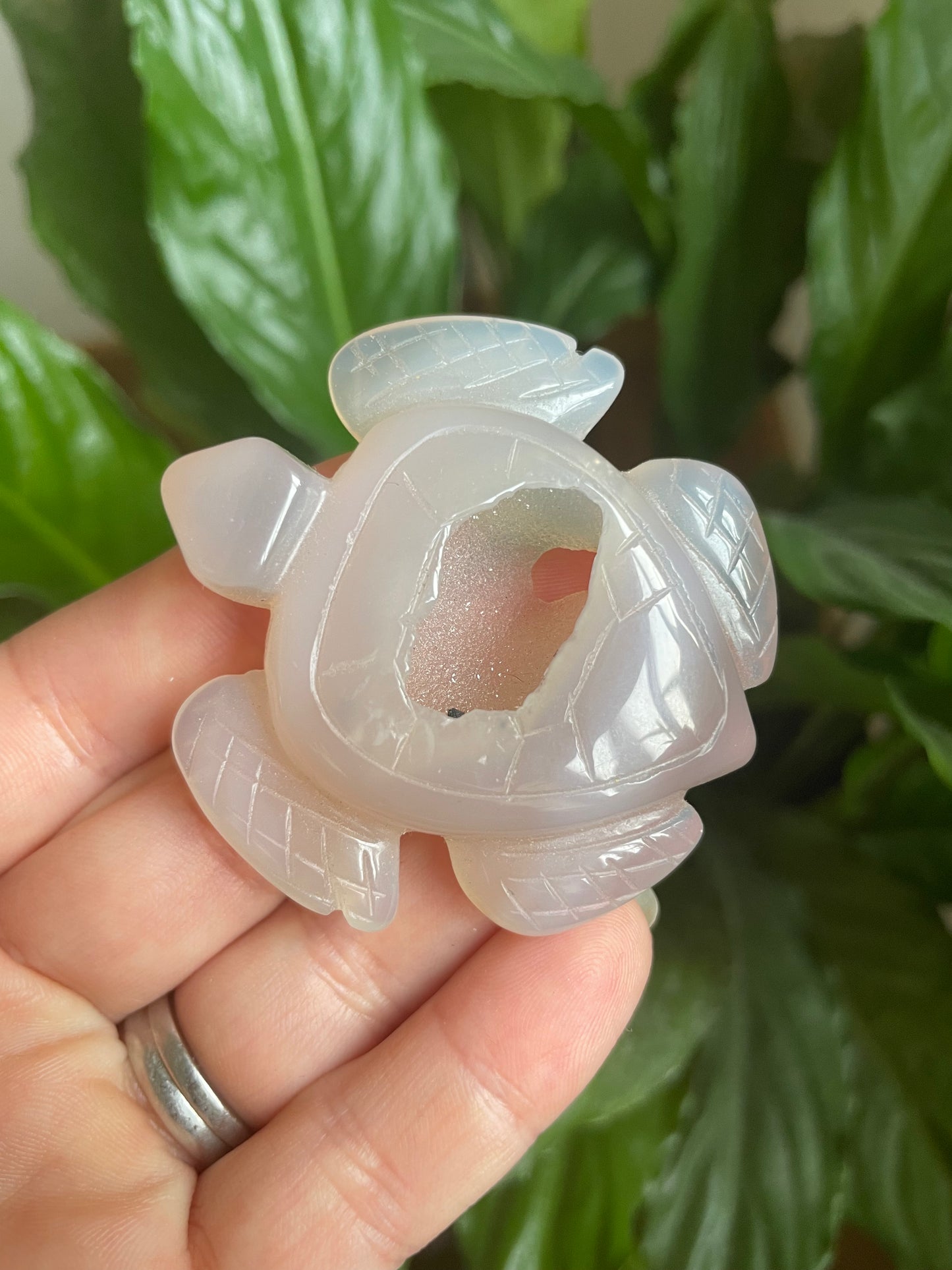 Agate druzy Turtle Carving
