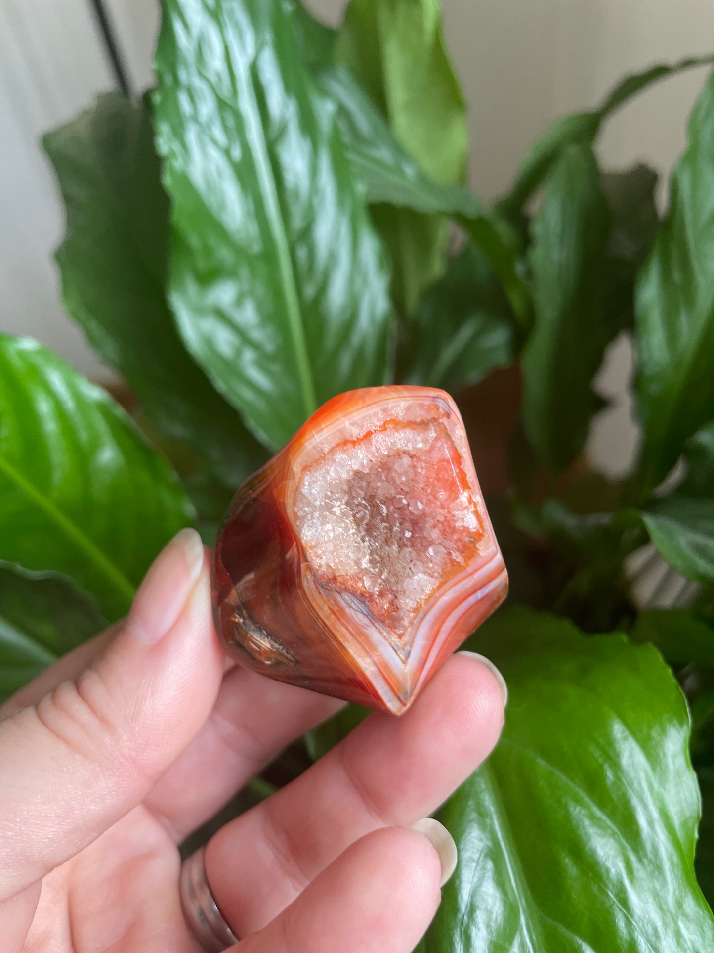 Carnelian Flame