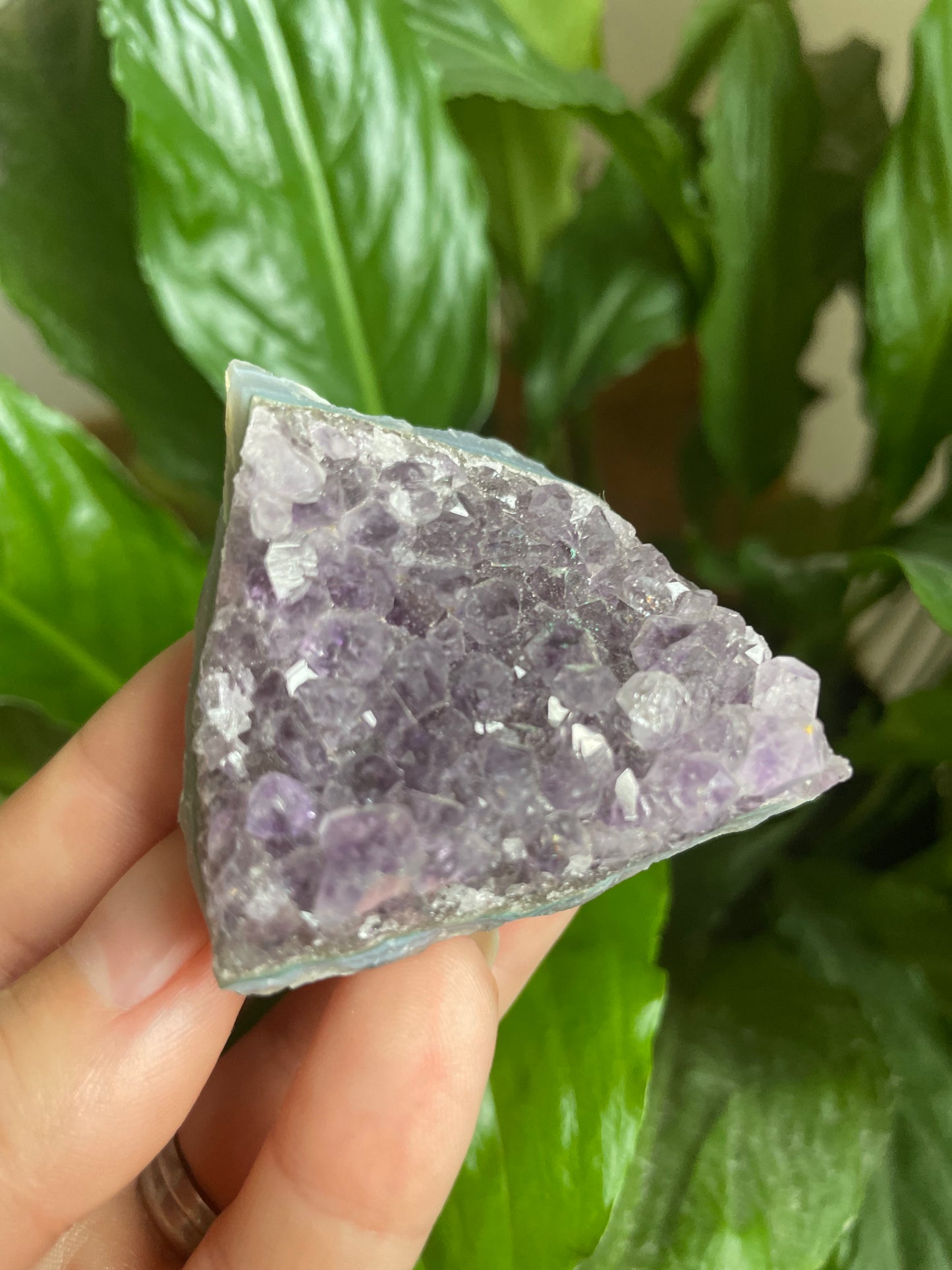 Amethyst Cluster