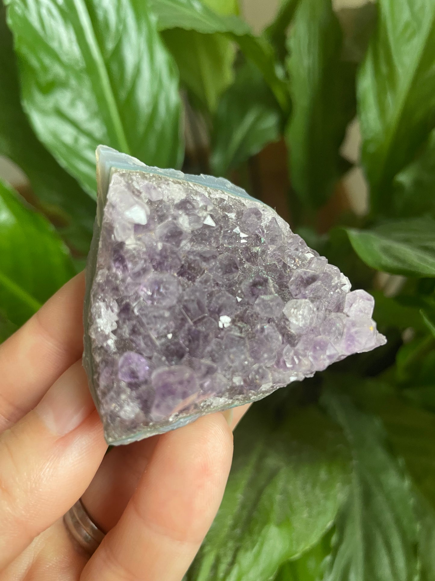 Amethyst Cluster