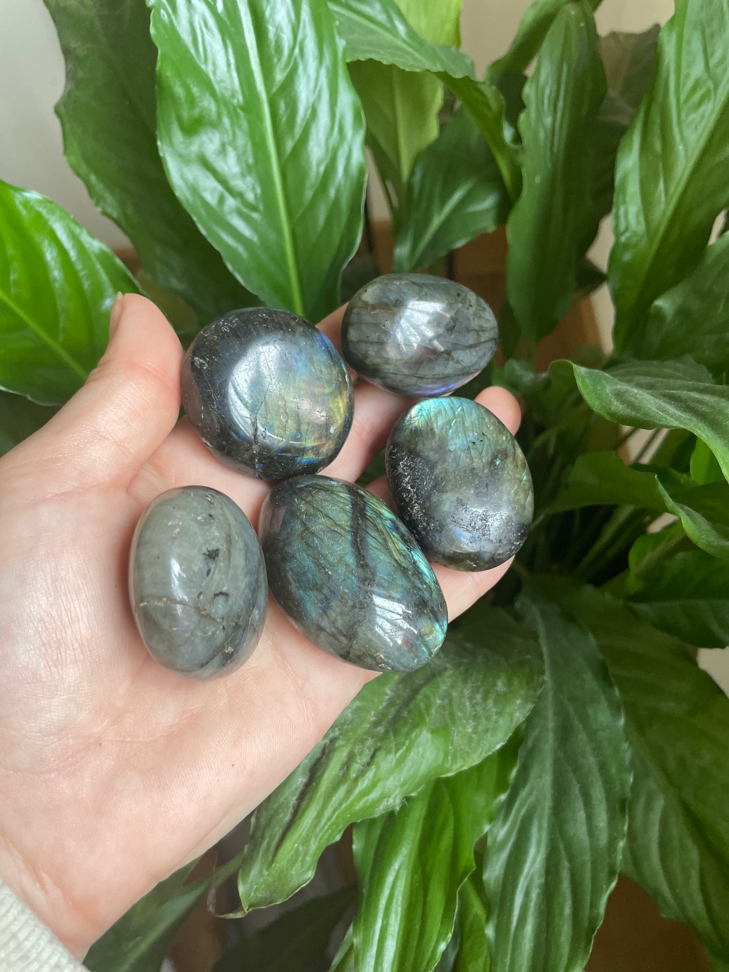 Labradorite Palm Stone