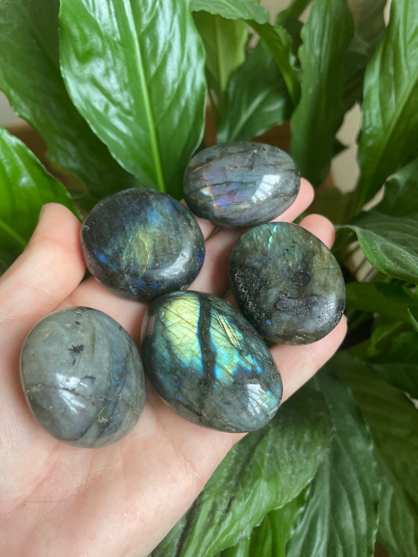 Labradorite Palm Stone