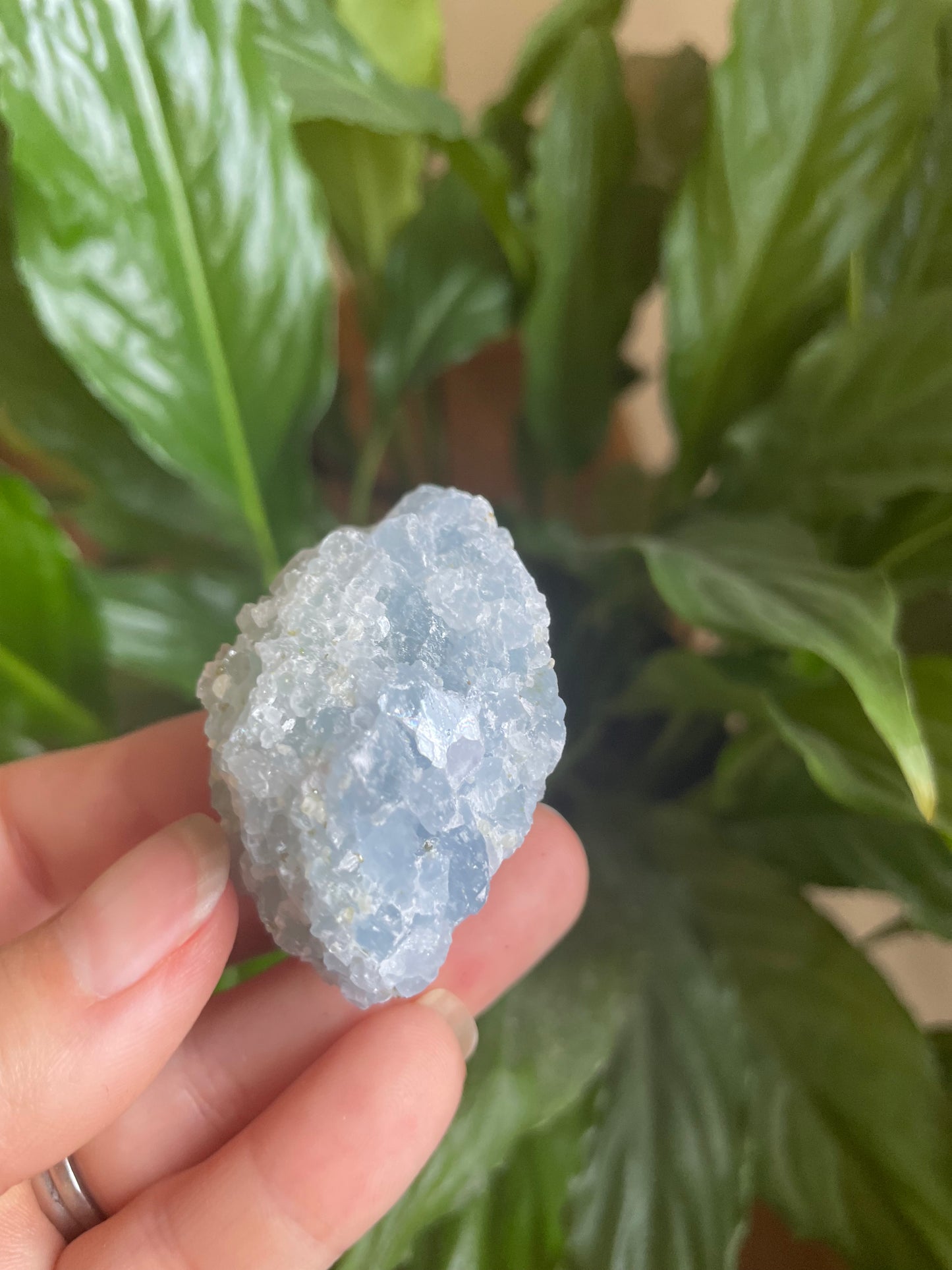 Raw Kyanite Crystal