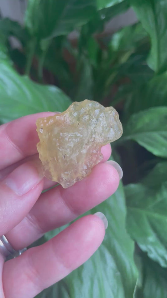 Libyan Desert Glass