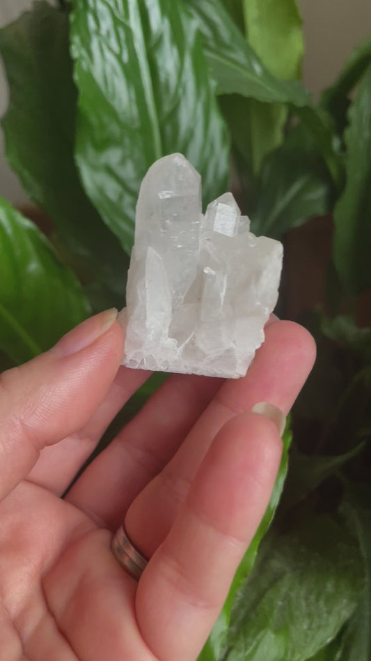 Raw Clear Quartz Cluster
