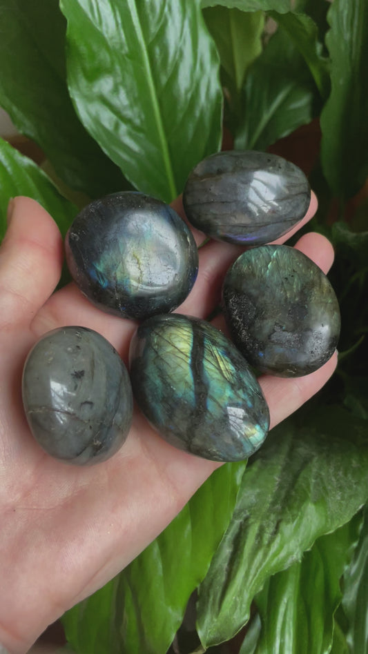 Labradorite Palm Stone