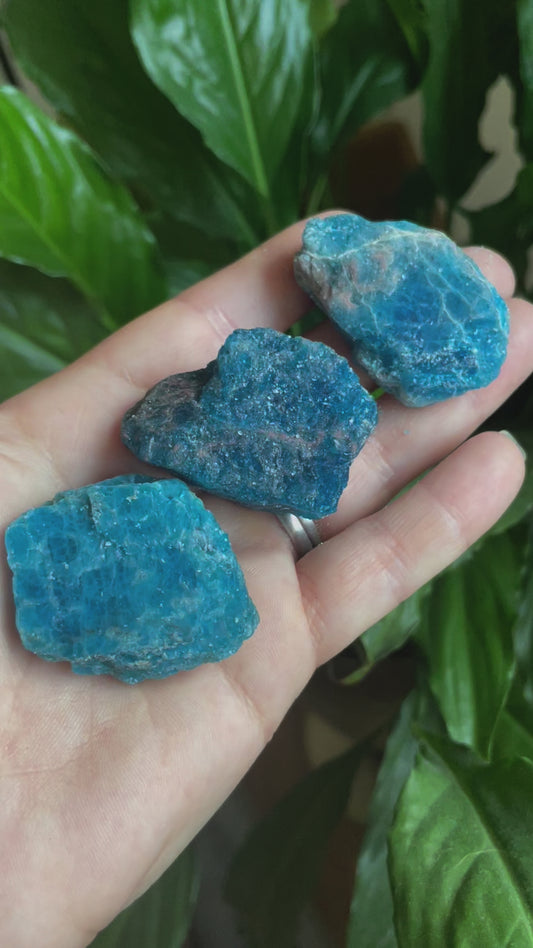 Raw Blue Apatite
