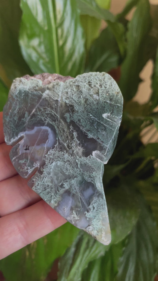 Moss Agate Leaf Carving