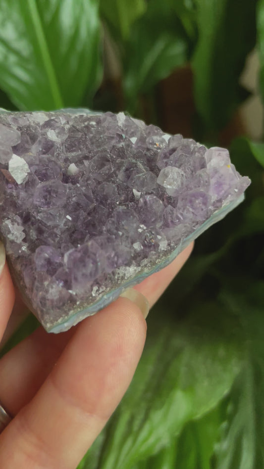 Amethyst Cluster