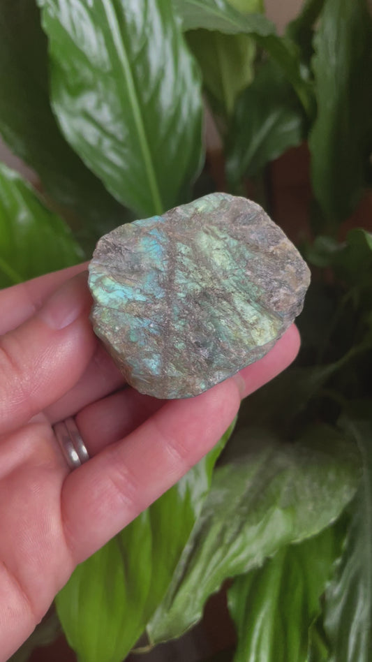 Raw Labradorite