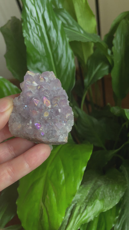 Aura Amethyst Cluster