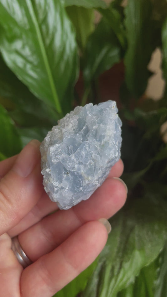 Raw Kyanite Crystal
