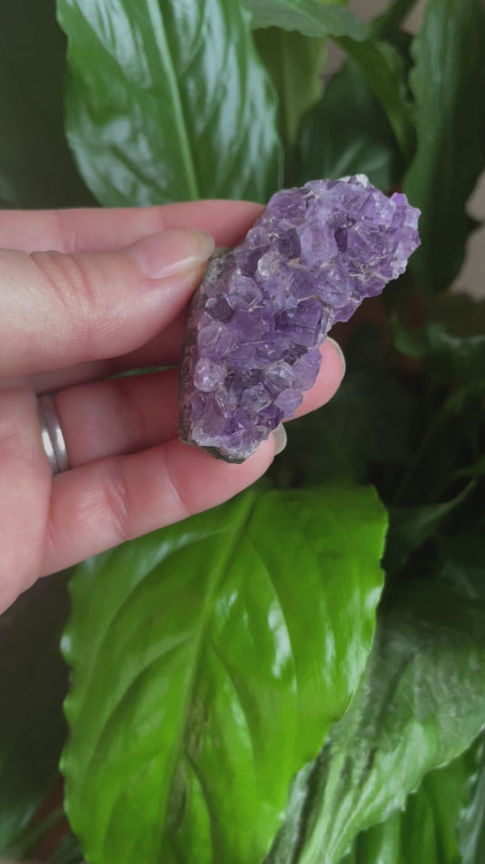 Amethyst Cluster Freeform