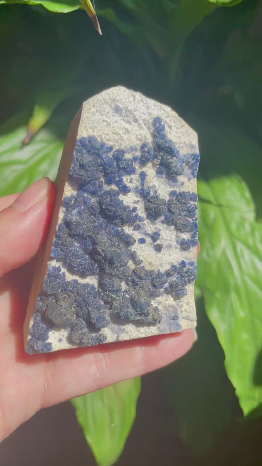 Rare Blue Fluorite Raw Specimen