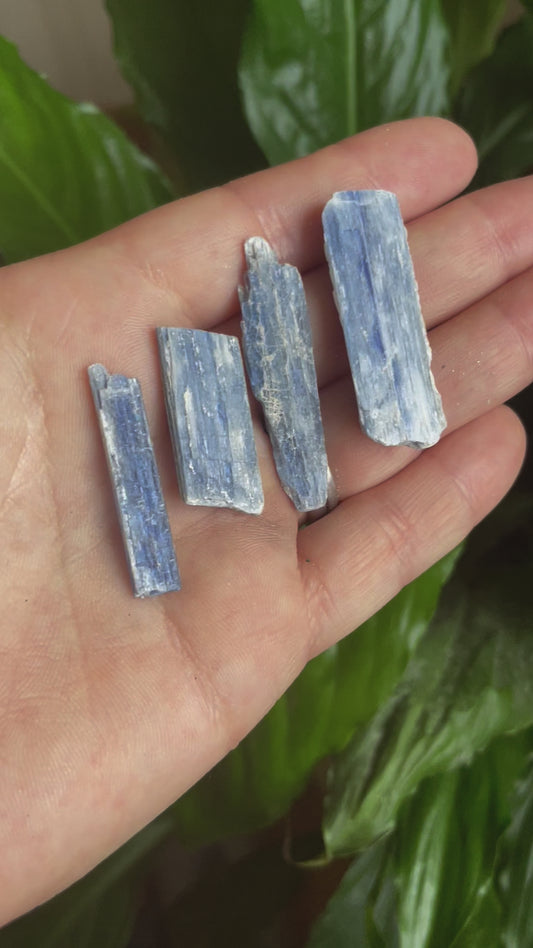 Raw Kyanite