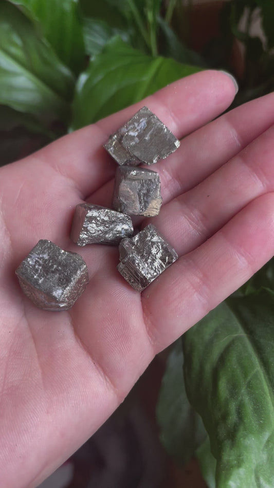 Pyrite Cubes