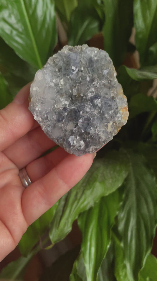 Black Amethyst Cluster